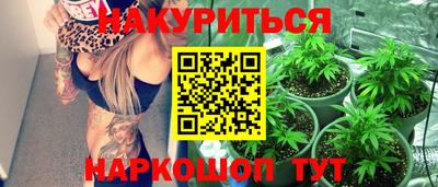 гидра Новодвинск