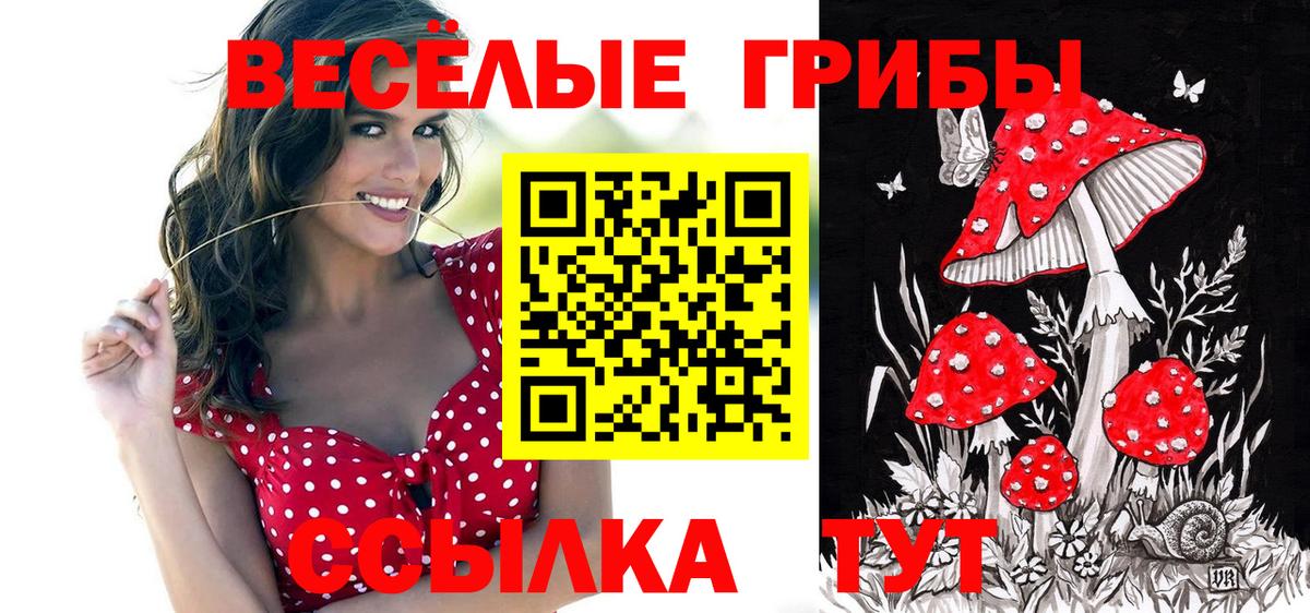 Псилоцибиновые грибы ЛСД Самара